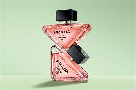 prada spices perfume|Prada perfume official.